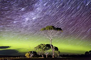 Star Trails over a bright green arc of aurora with an illuminated tree in the foreground Star Trails over a bright green arc of aurora with an illuminated tree in the foreground