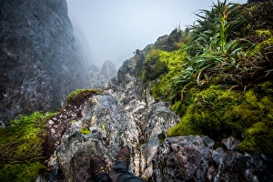 Steep track down to Lake Oberon Western Arthurs Range, Southwest Tasmania Steep track down to Lake Oberon Western Arthurs Range, Southwest Tasmania