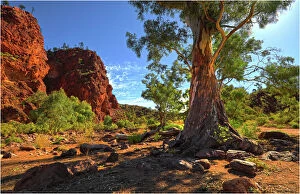 Australasia Collection: Stubbs waterhole, northern Flinders Ranges, South Australia