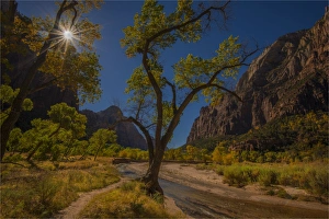 Sunstar Zion National Park, Arizona, Western united States of America Sunstar Zion National Park, Arizona, Western united States of America