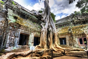 <b class=qtipBold><figcaption>Ta Prom Temple, Siem Reap, Cambodia</figcaption></b><br>Ta Prom Temple in Siem Reap, Cambodia.<br><em>© 2009 :: Artie | Photography ::</em> Ta Prom Temple, Siem Reap, Cambodia