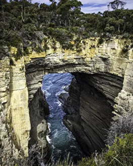 What's New: Nicky Dowling Landscapes Collection