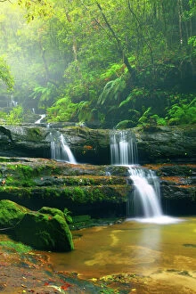 Rainforest Collection: Terrace Falls, Blue mountains