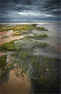 Tidal flow, Hopkins river, Victoria, Australia Tidal flow, Hopkins river, Victoria, Australia