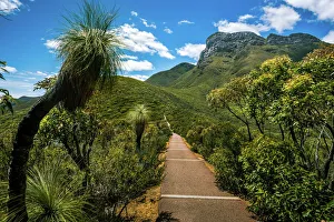 Stirling Gallery: Trail to Bluff Knoll