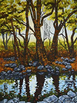 Trees and Rocks Reflected in a River with Afternoon Sunlight Original Landscape Artwork Trees and Rocks Reflected in a River with Afternoon Sunlight Original Landscape Artwork