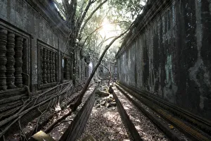 Trees and Thick Brush Consuming the Remaining Walls and Windows at the Unrestored Beng Trees and Thick Brush Consuming the Remaining Walls and Windows at the Unrestored Beng