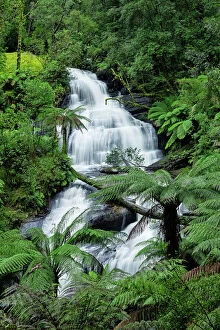 Rainforest Collection: Triplet Falls