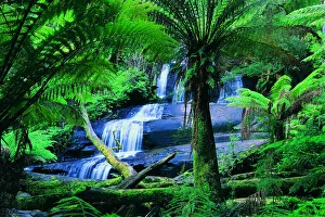 Triplet Falls, Otway Ranges, Great Ocean Road, Victoria, Australia Triplet Falls, Otway Ranges, Great Ocean Road, Victoria, Australia