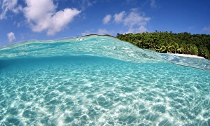 Tropical paradise Tropical paradise