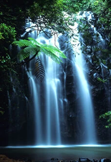 Images Dated 28th February 2007: Tropical tree fern overhanging waterfall on Elinjaa Creek