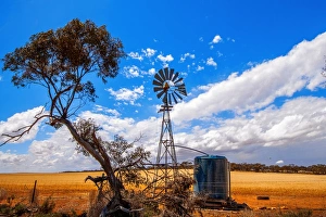 A Truly Australian Scene of a Eucalyptus (Gum) Tree, Scrubs and a Multi-Bladed Wind Powered Water Pump on a Farm Field in Australia A Truly Australian Scene of a Eucalyptus (Gum) Tree, Scrubs and a Multi-Bladed Wind Powered Water Pump on a Farm Field in Australia