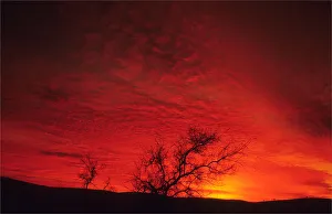The vibrant red of a desert dawn in the Flinders Ranges national park, South Australia The vibrant red of a desert dawn in the Flinders Ranges national park, South Australia
