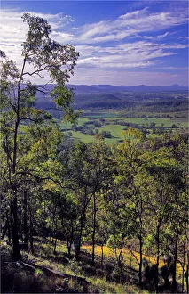 View near Murwillumbah, Queensland, Australia View near Murwillumbah, Queensland, Australia