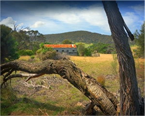 View to the old shearing shed, Wybalenna, Flinders Island, part of the Furneaux group, eastern Bass Strait, Tasmania View to the old shearing shed, Wybalenna, Flinders Island, part of the Furneaux group, eastern Bass Strait, Tasmania