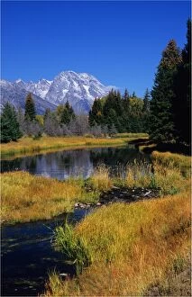Related Images Gallery: View from Schwarbachers Landing, Grand Teton National Park, Wyoming, USA