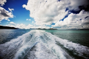 Wake of boat through coral sea