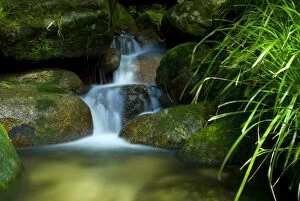 Water over boulders in rainforest