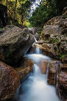 Nicky Dowling Landscapes Gallery: Waterfall in a National Park