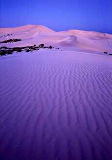 Images Dated 24th January 2007: Western Australia, Eucla National Park, sand dunes at dusk