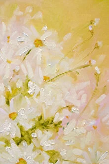 Images Dated 26th June 2014: White Daisies Oil Painting