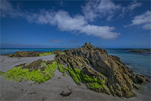 Yellow rock beach, eastern coastline of King Island, Bass Strait, Tasmania, Australia Yellow rock beach, eastern coastline of King Island, Bass Strait, Tasmania, Australia