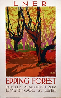 Images Dated 21st July 2003: Epping Forest, LNER poster, 1923-1947
