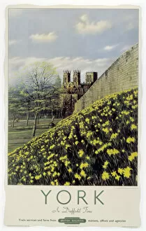 York in Daffodil Time, BR poster, 1950