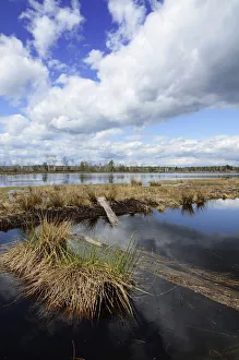 Abandoned peat cutting area with reflection of clouds, Stammbeckenmoor near Raubling Abandoned peat cutting area with reflection of clouds, Stammbeckenmoor near Raubling