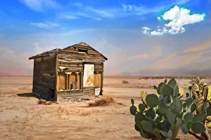 Abandoned Shack in Desert with Prickly Pear Cactus in Foreground Abandoned Shack in Desert with Prickly Pear Cactus in Foreground