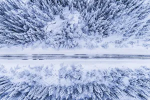 above, aerial view, calmness, color image, country road, day, forest, Hedmark fylke above, aerial view, calmness, color image, country road, day, forest, Hedmark fylke