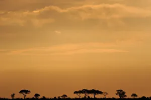 abstract, african, background, backlight, beautiful, cloud, color image, colorful abstract, african, background, backlight, beautiful, cloud, color image, colorful