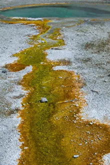 Abstract designs formed from thermophile runoff and mineral deposits, Upper Geyser Basin Abstract designs formed from thermophile runoff and mineral deposits, Upper Geyser Basin