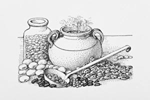 Abundance, Black and White Illustration, Black Eyed Pea, Broad Bean, Chickpea, Choice Abundance, Black and White Illustration, Black Eyed Pea, Broad Bean, Chickpea, Choice