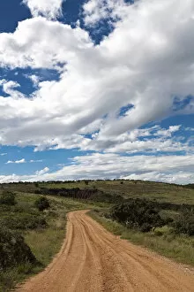 Images Dated 8th April 2012: addo elephant national park, cloud, color image, colour image, day, daytime, dirt track