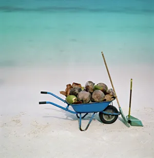 Adnet, No People, Outdoors, Day, Square Image, Large Group Of Objects, Coconut Adnet, No People, Outdoors, Day, Square Image, Large Group Of Objects, Coconut