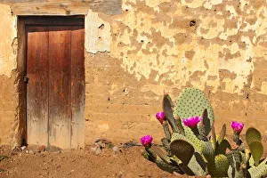 Adobe Wall and Wooden Door with Flowering cactus in Oaxaca Adobe Wall and Wooden Door with Flowering cactus in Oaxaca