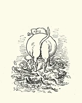 Adventures of Baron Munchausen, How the crew were supplied Adventures of Baron Munchausen, How the crew were supplied
