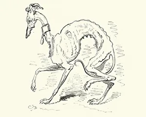 Adventures of Baron Munchausen The Hungry hound Adventures of Baron Munchausen The Hungry hound