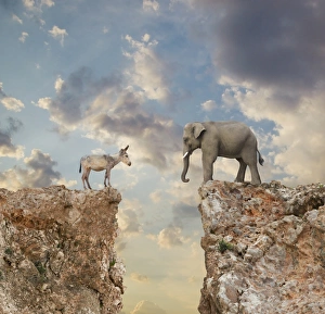 adversary, animals, at the edge of, california, challenge, cliff, cloud, color image adversary, animals, at the edge of, california, challenge, cliff, cloud, color image