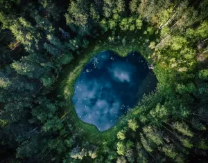 Serene Forest Pond Aerial Landscape Art Print