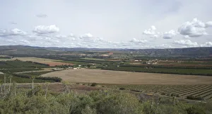Agriculture, Cloud, Crop, Cultivated Land, Eastern Cape, Field, Gamtoos Valley, Landscape Agriculture, Cloud, Crop, Cultivated Land, Eastern Cape, Field, Gamtoos Valley, Landscape