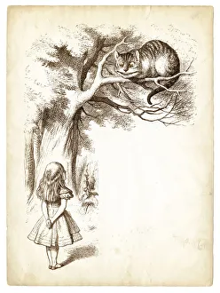 Alice and the Cheshire cat engraving 1898 Alice and the Cheshire cat engraving 1898