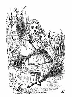 Images Dated 10th January 2014: Alice in Wonderland