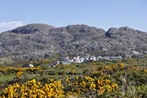 Allihies, Slieve Miskish Mountains, Beara Peninsula, County Cork, Ireland, British Isles, Europe Allihies, Slieve Miskish Mountains, Beara Peninsula, County Cork, Ireland, British Isles, Europe