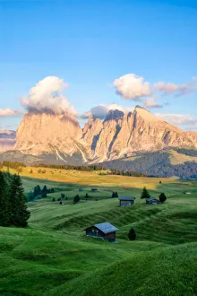 Alpe di Siusi, Summer in the Dolomites Alps Alpe di Siusi, Summer in the Dolomites Alps