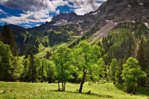 Images Dated 4th June 2011: Alpine Light - Groser Ahornboden