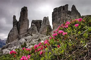 Images Dated 8th July 2005: alps, area, backdrops, chains, countryside, daylight, daytime, european, exterior
