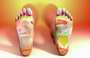 Relaxation Gallery: alternative medicine, colour, foot, foot reflexology, front view, full view, landscape