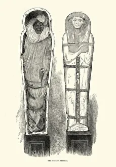 Ancient Egyptian Artefacts - Mummy of the Priest Nebseni Ancient Egyptian Artefacts - Mummy of the Priest Nebseni